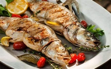 Levrek Balığının Faydaları Nelerdir?